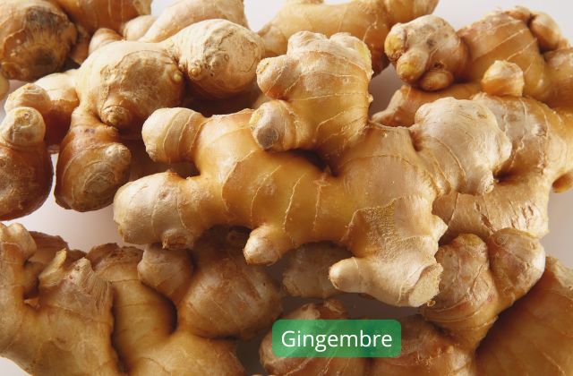 Gingembre plantes adaptogènes