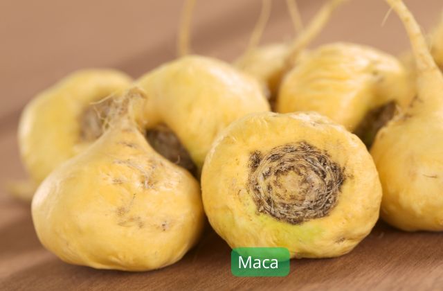 Maca plantes adaptogènes