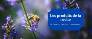 Les produits de la ruche