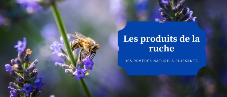 Lire la suite à propos de l’article Les produits de la ruche : des remèdes naturels puissants pour votre santé