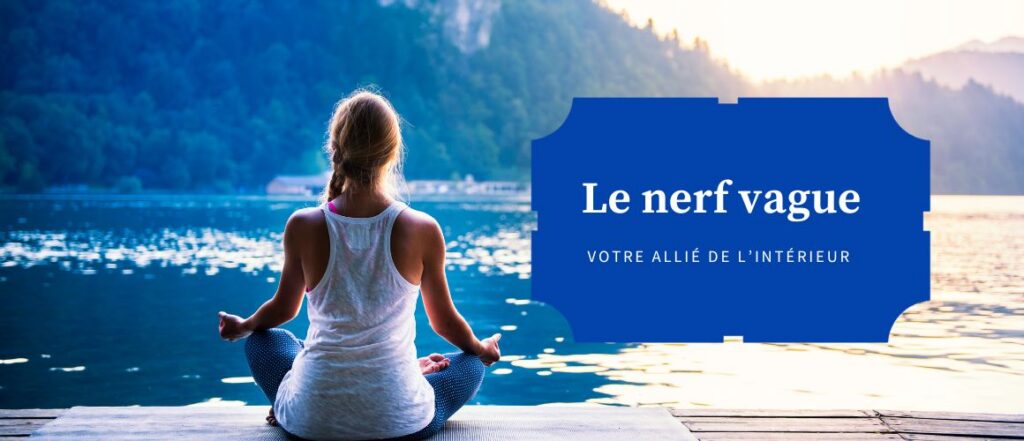 Lire la suite à propos de l’article Le nerf vague, votre allié de l’intérieur