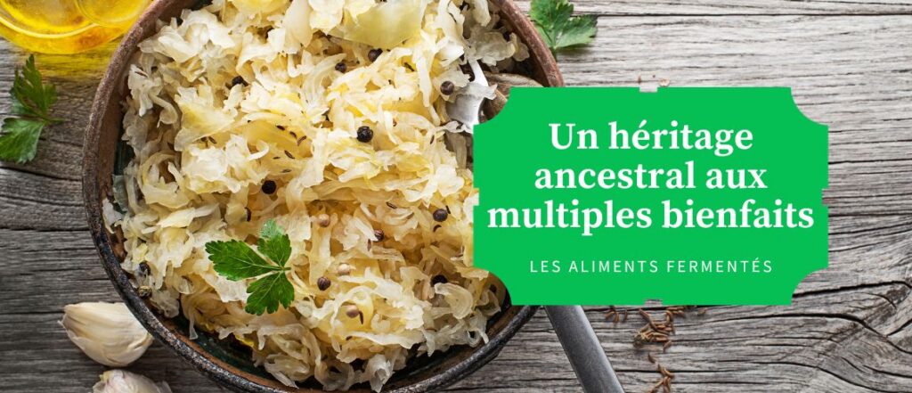 Lire la suite à propos de l’article Les aliments fermentés : un héritage ancestral aux multiples bienfaits