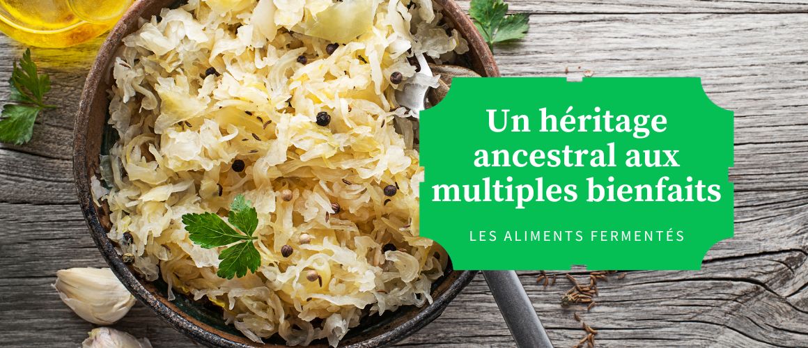 Vous consultez actuellement Les aliments fermentés : un héritage ancestral aux multiples bienfaits